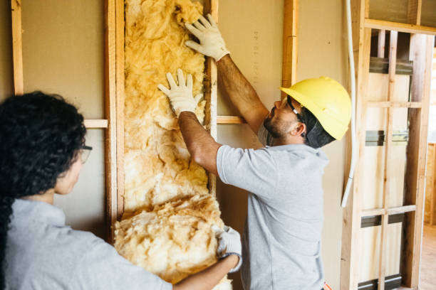 Best Attic Insulation Installation  in Springtown, TX